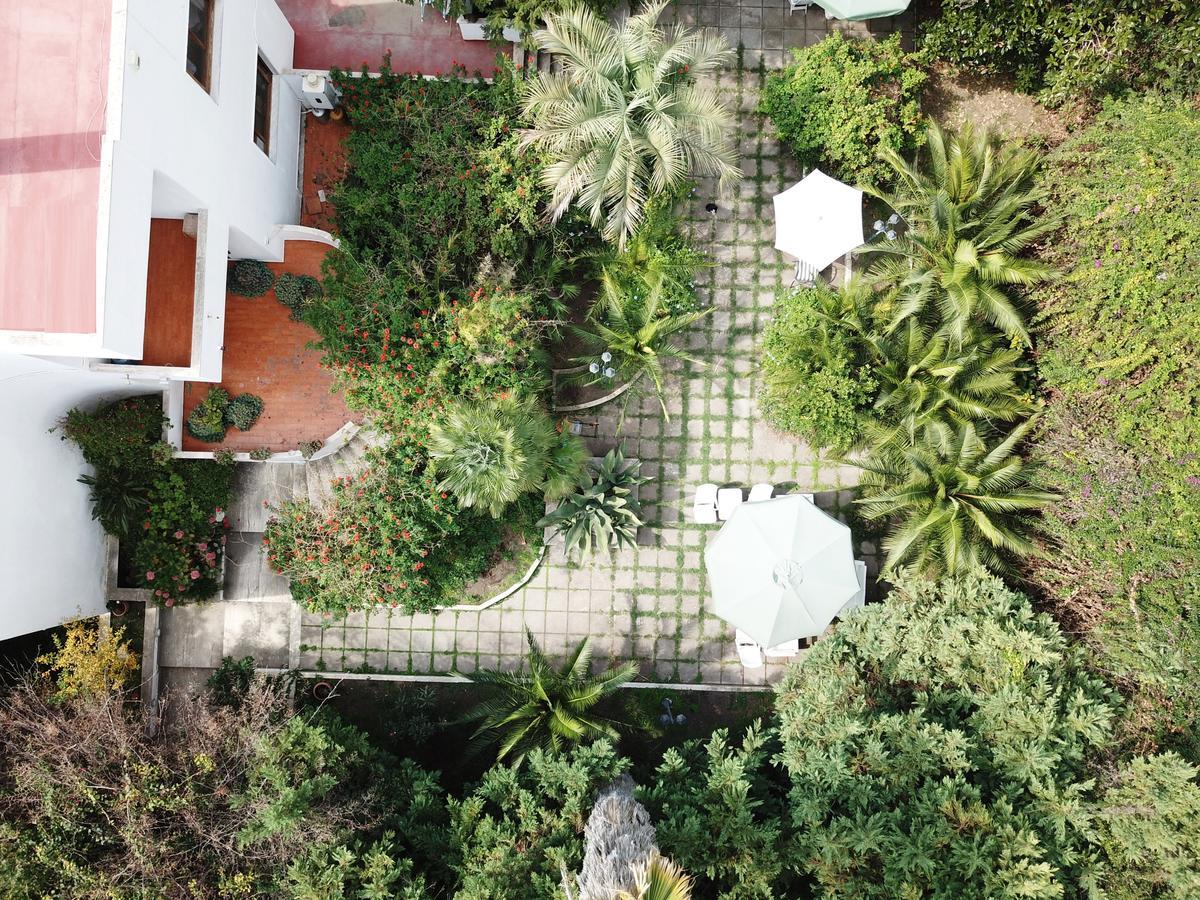 B&B Il Giardino Di Villa Anna Trecase Exterior foto