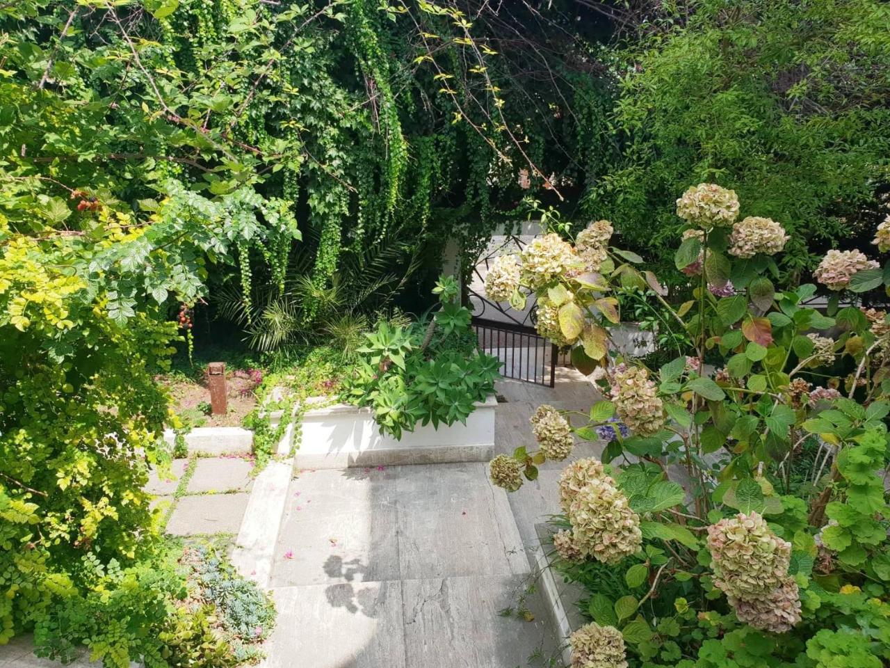 B&B Il Giardino Di Villa Anna Trecase Exterior foto